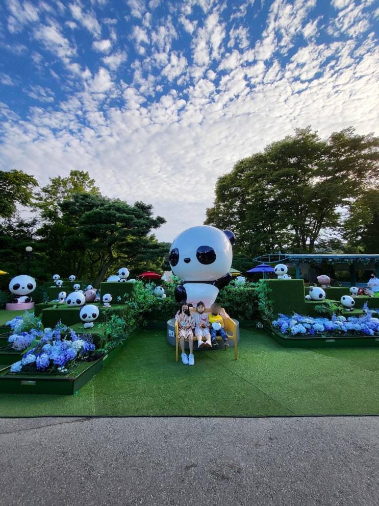  하늘 사진 찍기