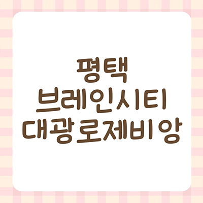  평택 대광로제비앙 미분양아파트 장안동 브레인시티 신축 타입별 분양가 잔여세대 모델하우스