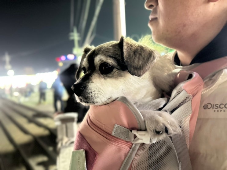  서울근교 당일치기 을왕리 해수욕장 밤에 가기 좋은 곳