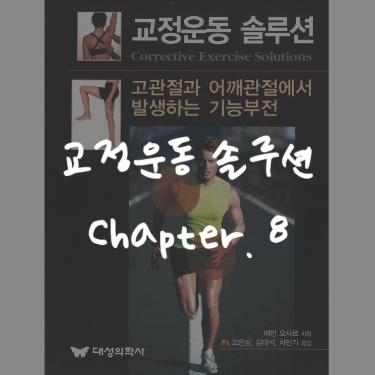  교정운동솔루션 : Chapter 8 - 어깨 복합체와 상지를 위한 핵심 패턴과 움직임 강화
