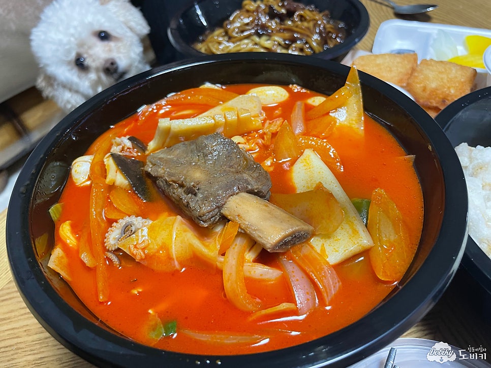 신마야 사진 2
