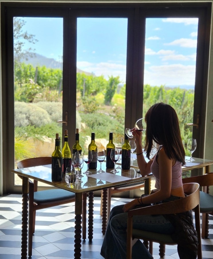  [호주 여행] 태즈매니아 와이너리 투어 (Freycinet Vineyard, Devil's Corner, Domaine A, Frogmore Creek Vineyard)