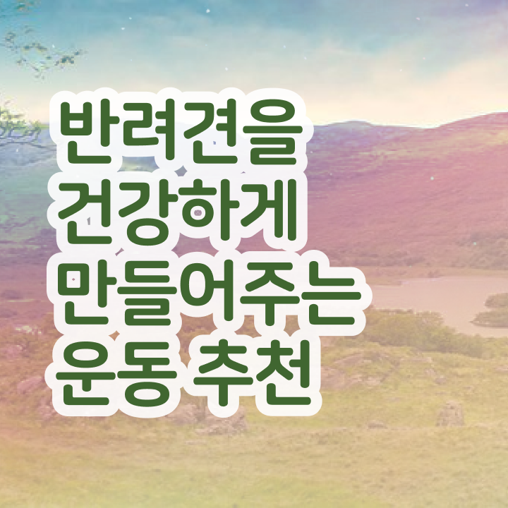  반려견운동지도사 무료  반려견운동지도사 자격증 취득