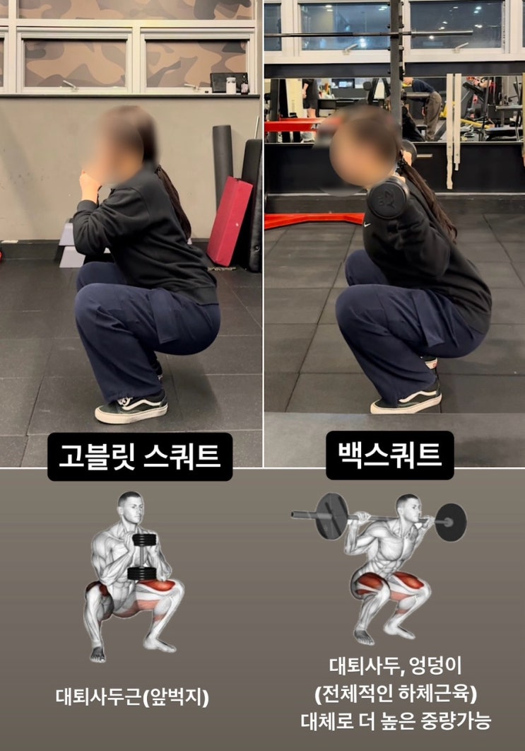  율량동 PT 헬린이 스쿼트 입문