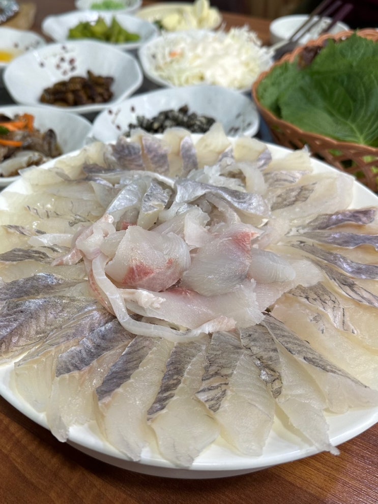  고령 다사 맛집 바다수산회에서 푸짐하고 신선한 회, 물회 먹고왔어요!