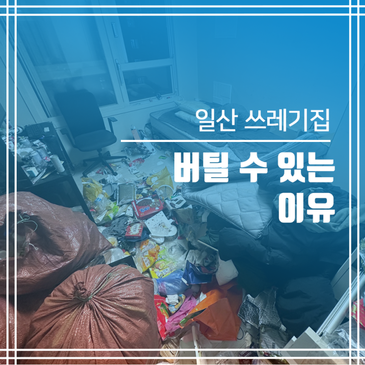  일산 더러운집 청소 일산 쓰레기집 청소