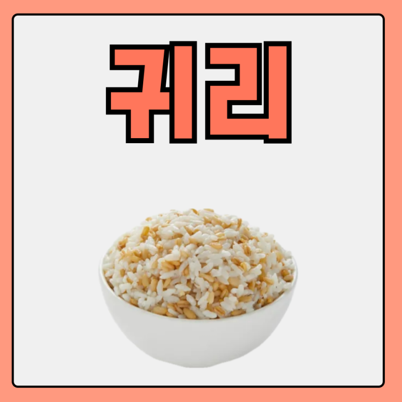귀리쌀 귀리밥 짓기 효능 부작용 먹는법 오트밀 차이