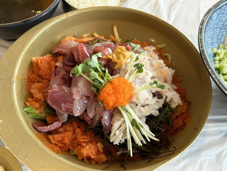  속초 3대 물회 맛집 청초수물회
