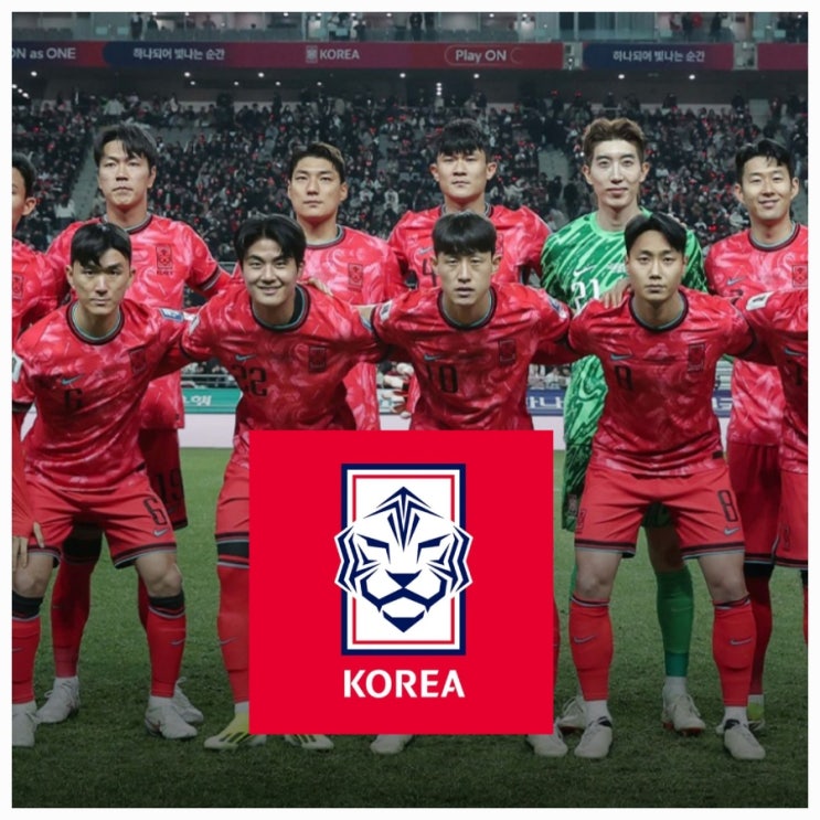 2026 월드컵 축구국가대표명단 (축구포지션 FW,MF,DF,GK 뜻)