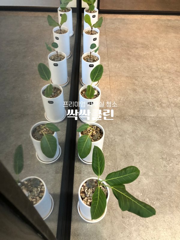  분당 판교 사무실청소, 언제까지 청소를 미루실거에요?
