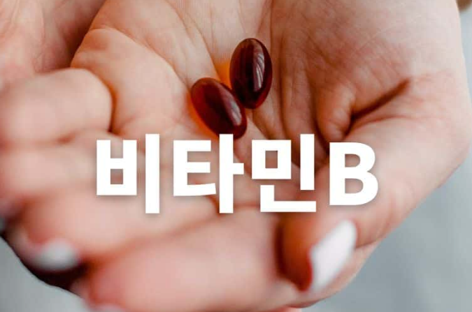  비타민B 효능 및 결핍 증상 부작용 핵심정리