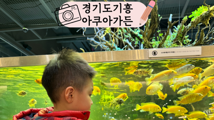  경기도 기흥 가볼 만한 곳 물 멍하기 좋은 물고기 카페  아쿠아 가든