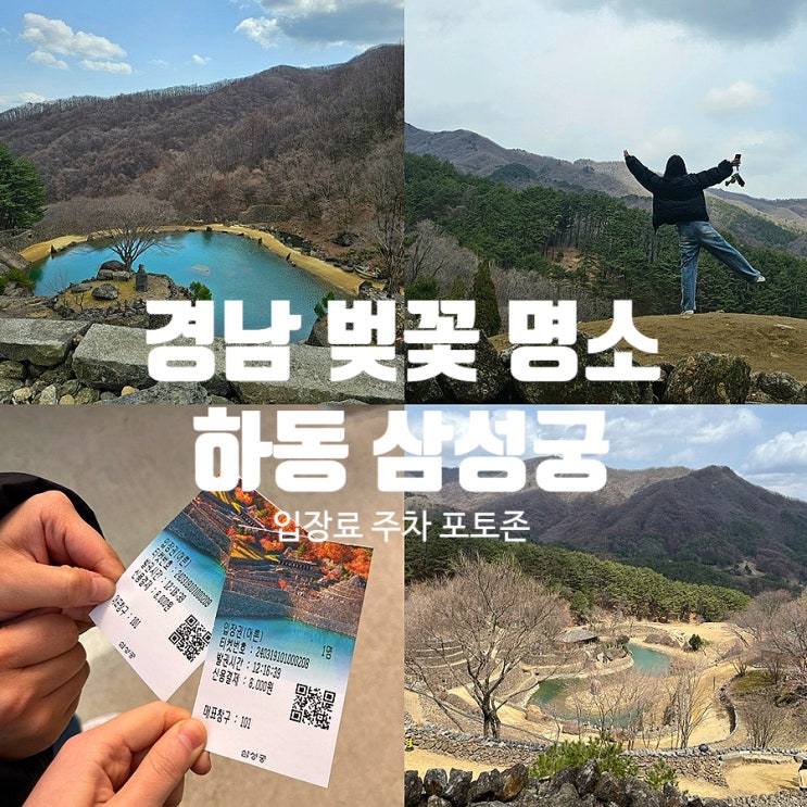  경남 하동 삼성궁 벚꽃 명소 입장료 입장시간 주차 반려견 애견동반 총정리