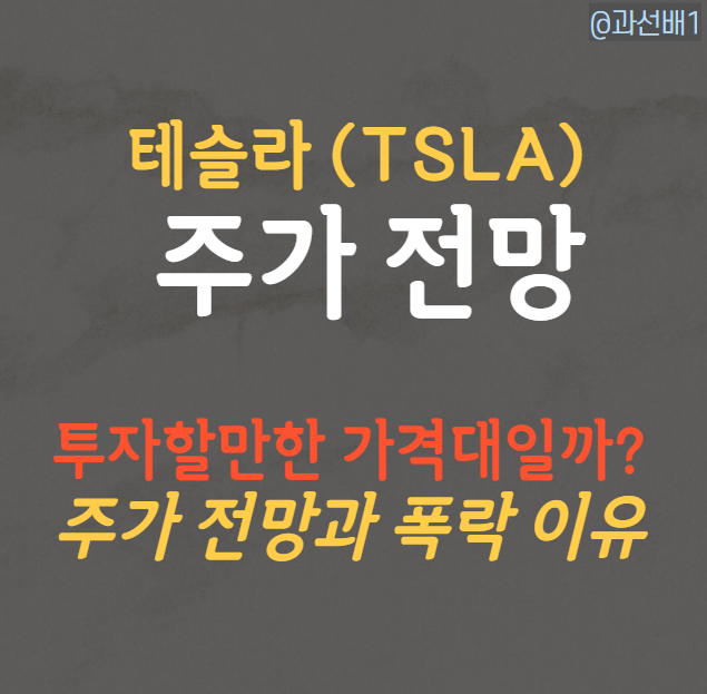  테슬라(TSLA) 주가 하락 전망 - 캐즘과 폭락 이유
