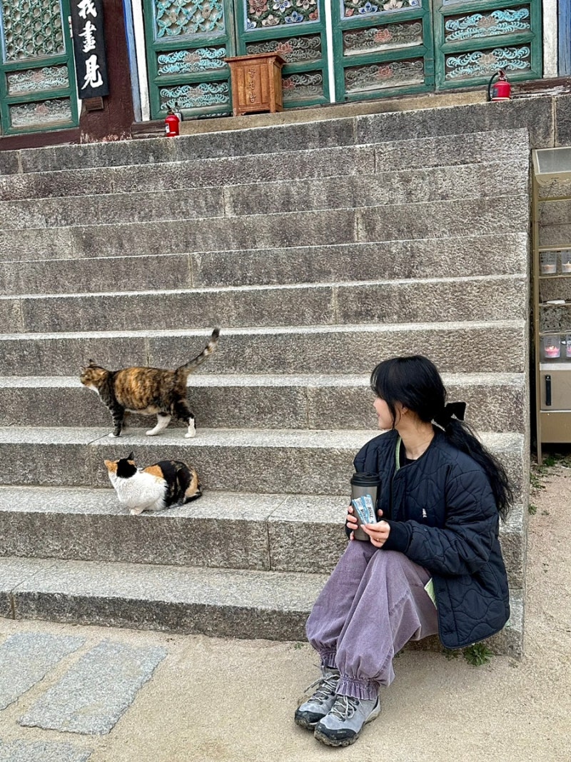 [팔공산 동화사 템플스테이] 대구 근교 휴식형 템플스테이 후기 :: 벚꽃+고양이+자연 = 힐링