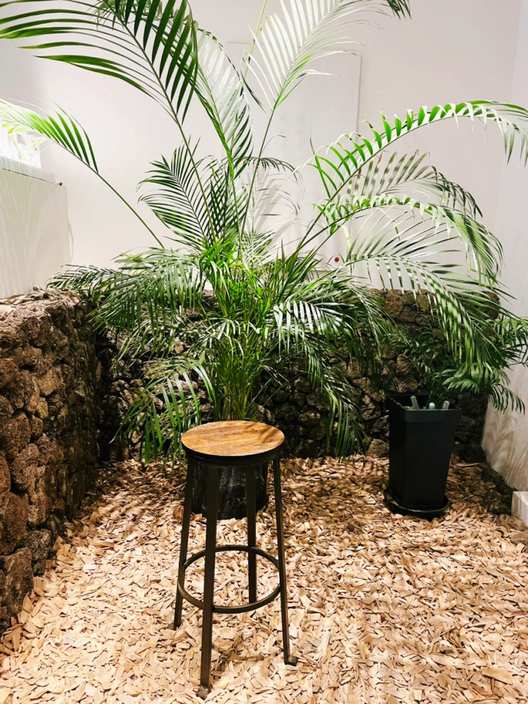  무료 주차 식물원 포토존 왕십리역 카페 랑데자뷰