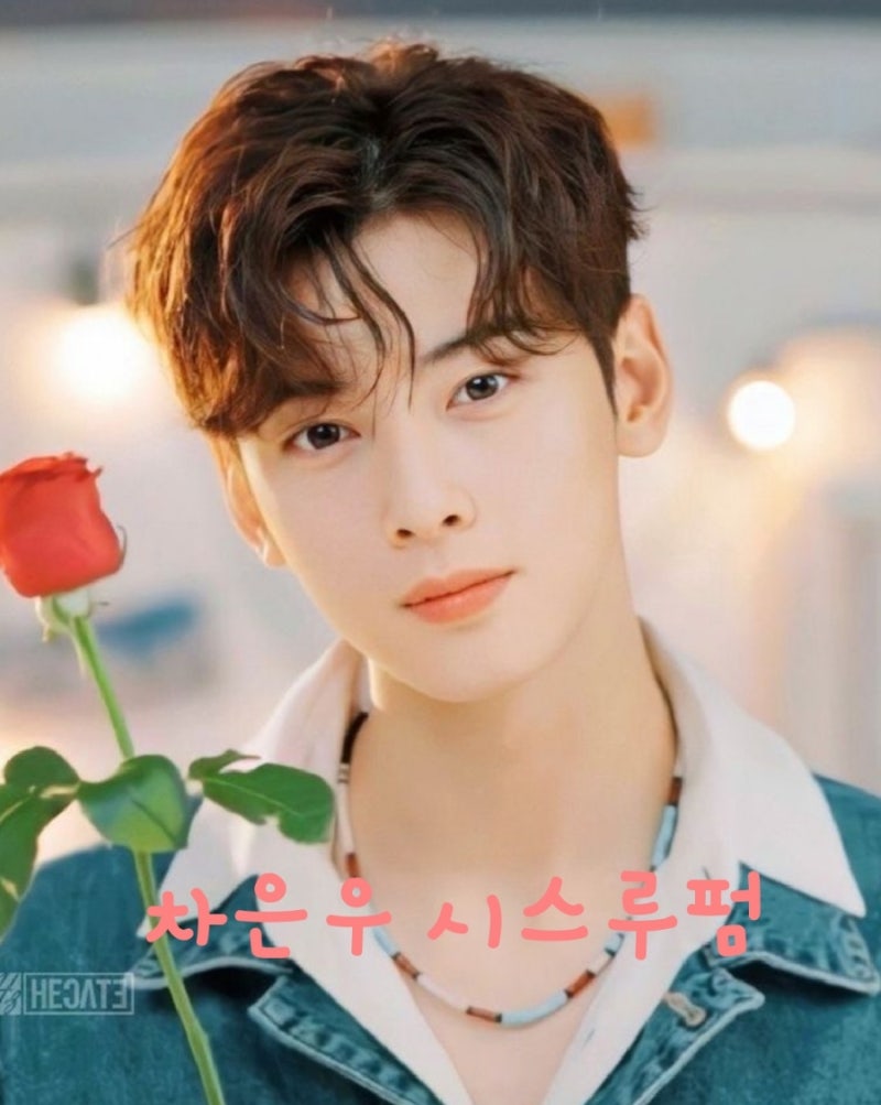Cha Eun-woo's Hair (See-Through Dandy Perm, As Perm, Shadow Perm, Leaf Perm)