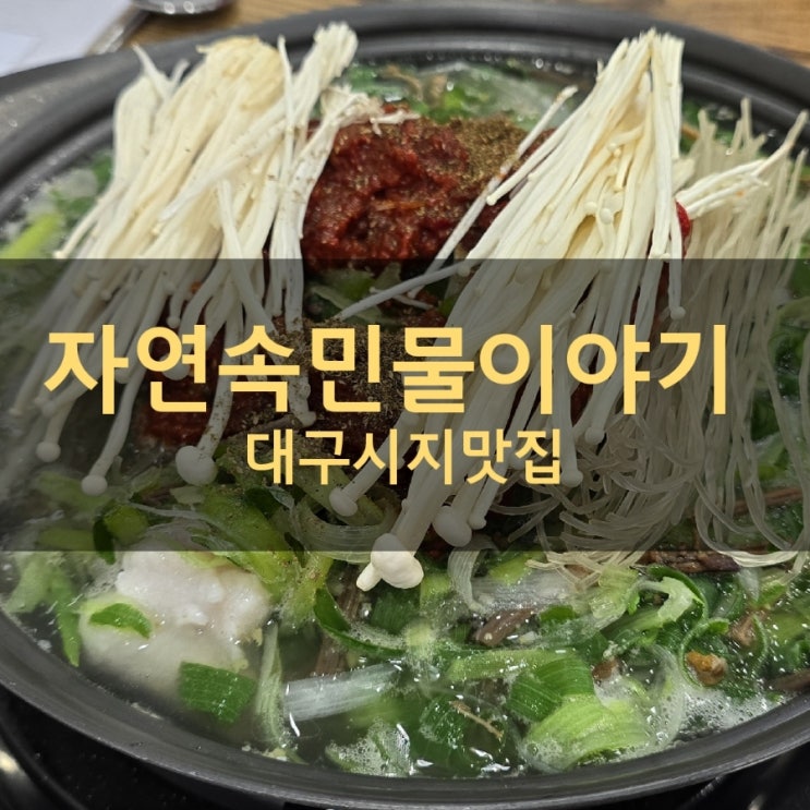  대구 수성구 시지 맛집 베스트 자연속민물이야기에서 매운탕 먹은 후기