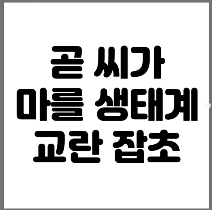  곧 씨가 마를 생태계 교란 잡초
