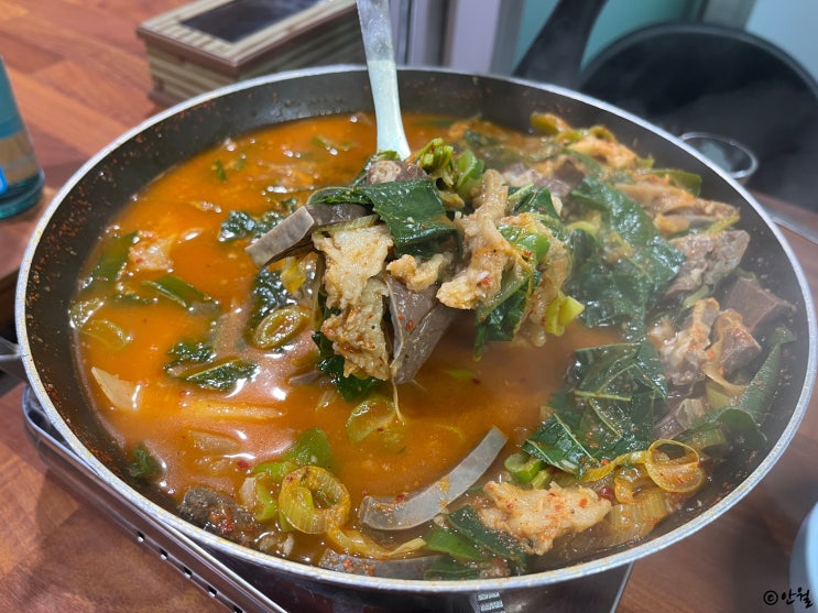  [장안동] 옛집한우허파 | 허파 양 수구레 전골 노포 맛집