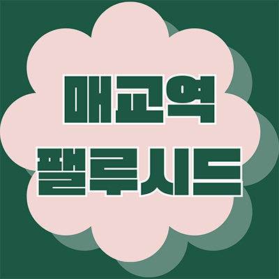  매교역 팰루시드 대단지 신축아파트 세류동 미분양 권선구 6구역 재개발 잔여세대 분양가 모델하우스