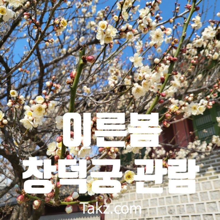  이른봄 창덕궁 관람 후기