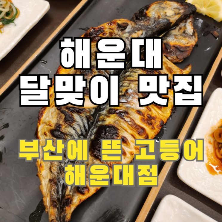  해운대 달맞이 맛집 부모님 모시고 가기좋은 부산에 뜬 고등어 해운대점