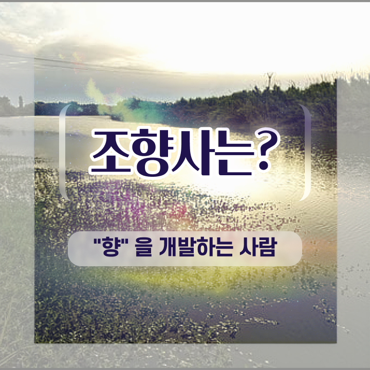  조향사 자격증시험  조향사 자격증 취득