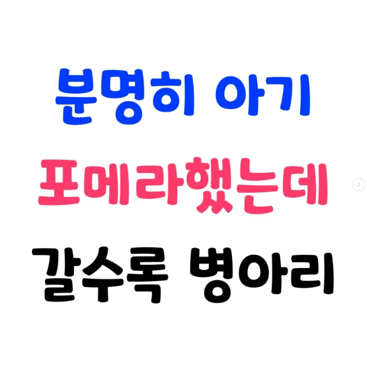  분명히 아기 포메라했는데 갈수록 병아리