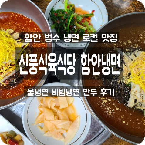  함안맛집 신풍식육식당 함안 냉면 : 물냉면 비빔냉면 만두 후기