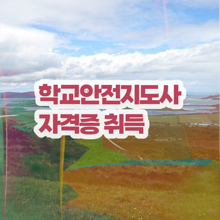 학교안전사고사례  학교안전지도사 자격증 취득      학교안전사고사례  학교안전지도사 자격증 취득  정보 모두 드려요