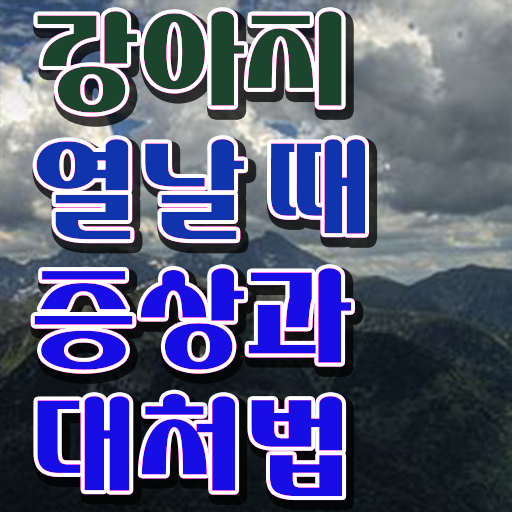  반려동물 장례   대전반려동물장례  반려동물관리사 자격증 취득