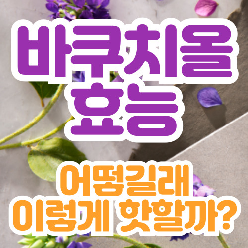  바쿠치올 효능 어떻길래 이렇게 핫할까