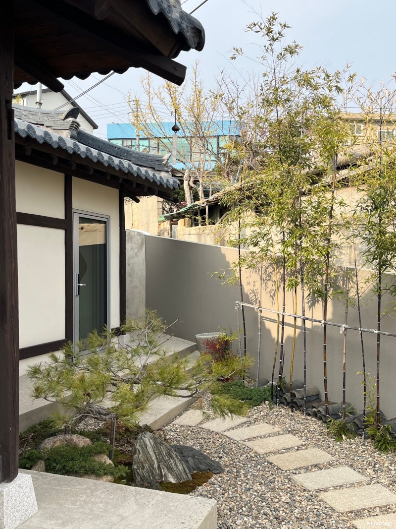 사진 3