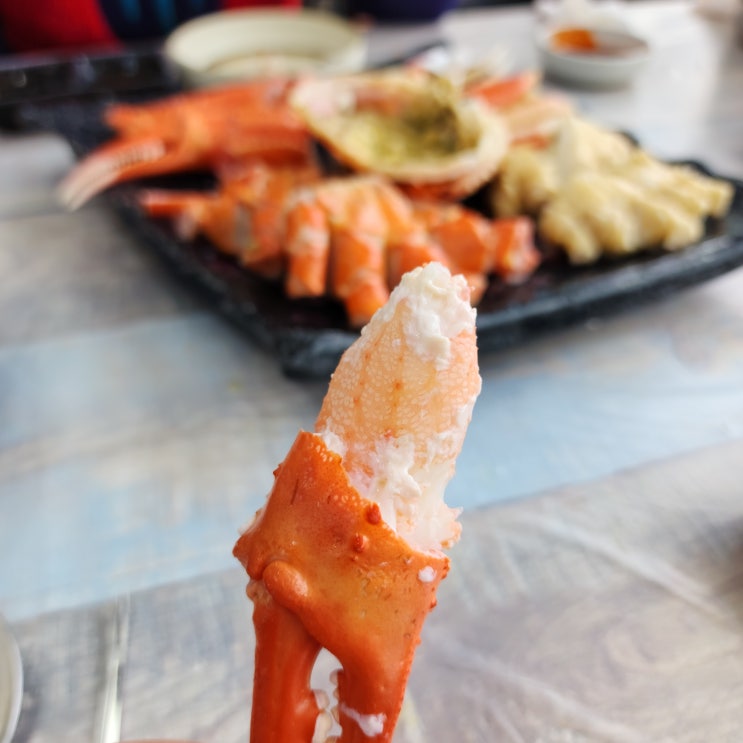  영덕대게를 다양하게 맛볼 수 있는 코스요리 맛집 강구항 착한대게