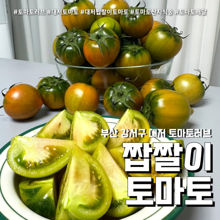 무농약 대저 짭짤이 토마토 배송기(feat. 토마토러브 산지 직송 )