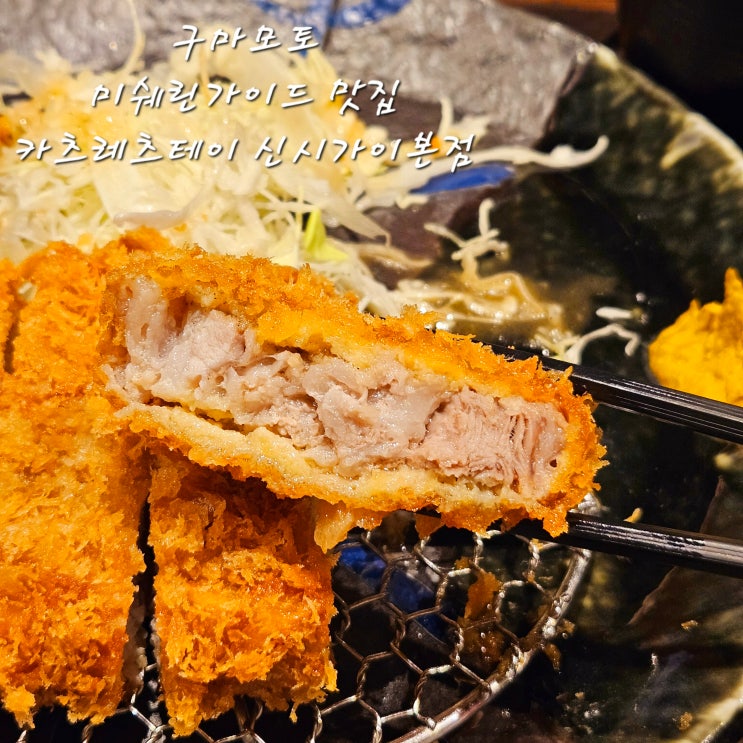  구마모토맛집카츠레츠테이 신시가이본점구마모토 미쉐린가이드 맛집규슈여행일본여행후쿠오카근교도시여행
