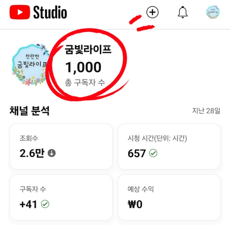  유튜브 수익창출 신청 구독자 1000명 달성! 보기페이지 쇼츠 광고 녹색 달러 붙이기