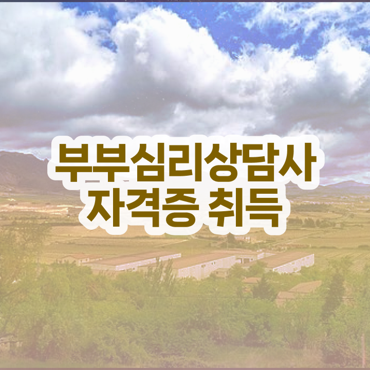  부부심리상담사1급자격증따기  부부심리상담사 자격증 취득  핵심 정보
