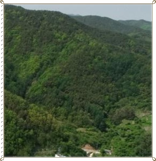 방광산 사진 1