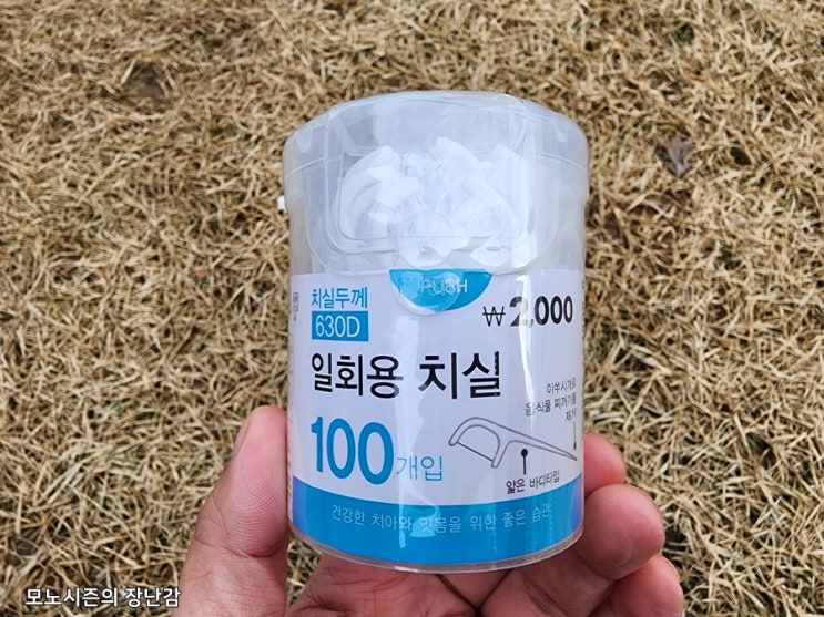 다이소 630D 치실두께 일회용 치실 100개입 후기