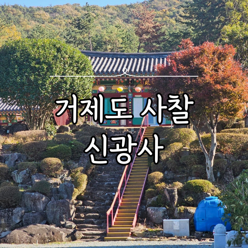 거제도 사찰 가볼만한곳 겹벚꽃으로 유명한 절 신광사 (24.04.13 사진)