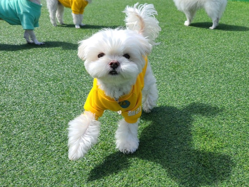 사진 7