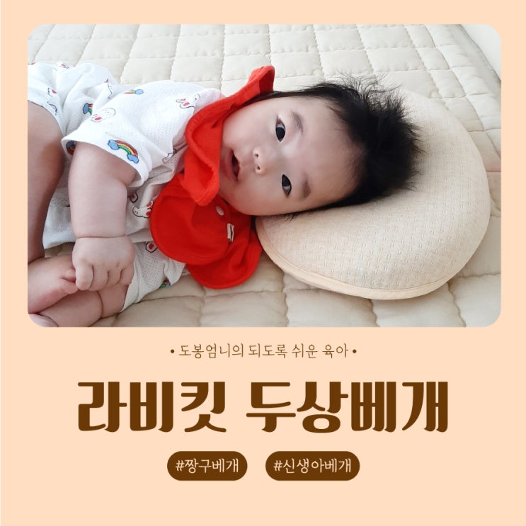  라비킷 두상베개 내돈내산 너무 솔직한 후기 살말 고민이라면?