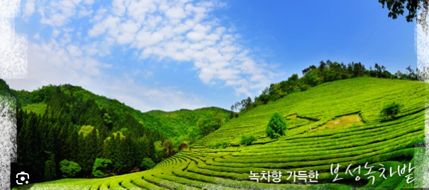 강골 사진 2