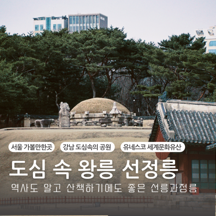  서울 가볼만한곳 추천 산책하기 좋은 숲길 세계문화유산 조선왕릉 선정릉, 도심 속 공원 선릉과정릉