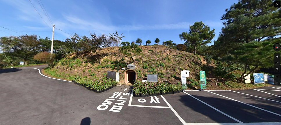 강골 사진 6
