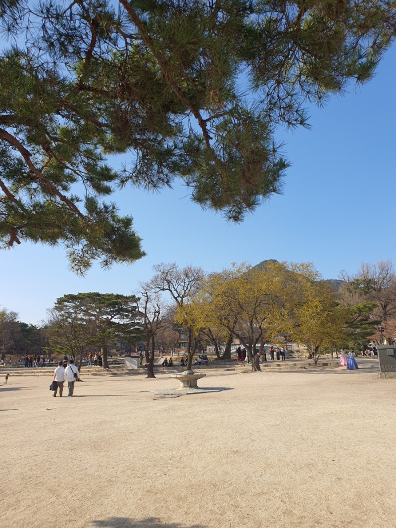 요즘 부동산 분위기 by리틀백(24.3월) : 네이버 블로그