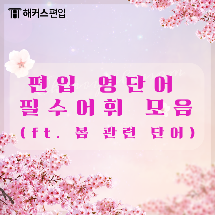  편입 영단어 필수 어휘 모음 (ft. 봄 관련 단어)