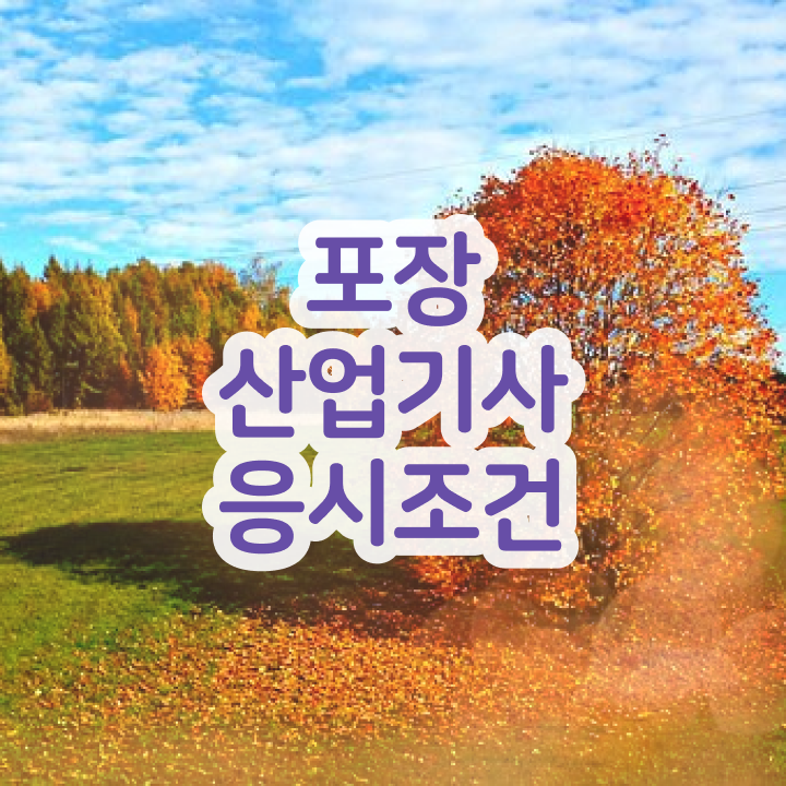  포장산업기사 응시요건   포장산업기사  자격증 취득  핵심 정보 가득 드려요
